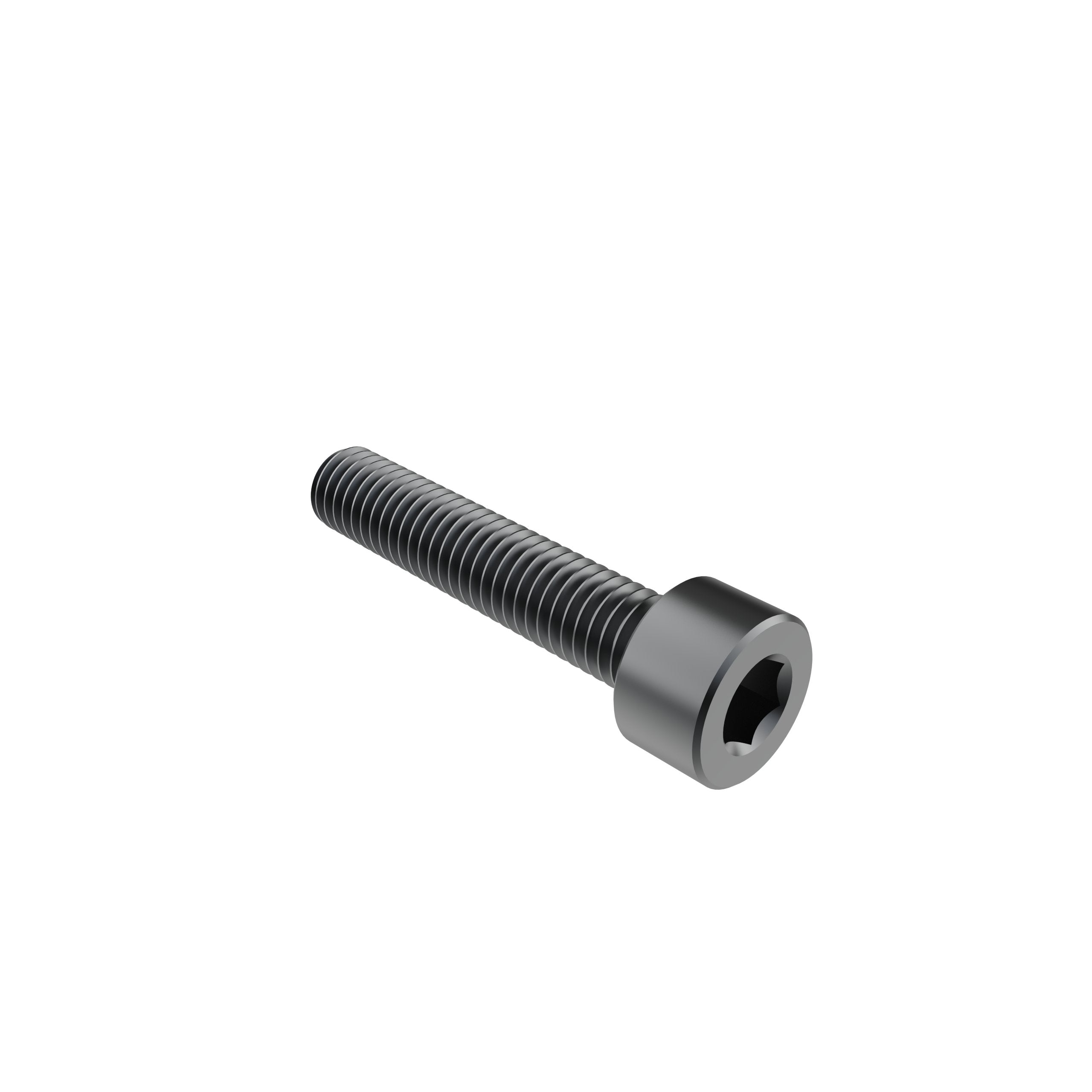 M5 x 25mm Socket Head Screw