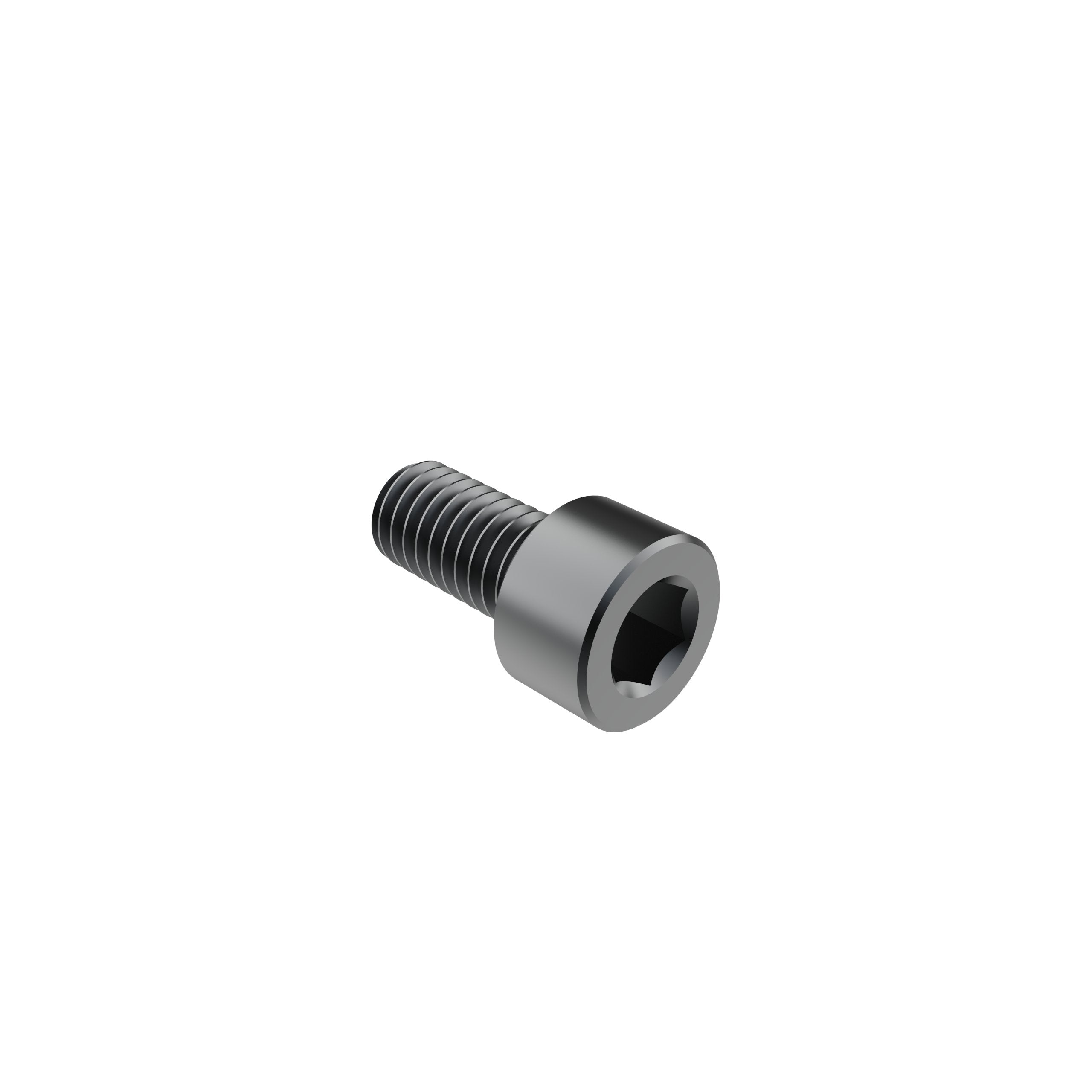 M6 x 12mm Socket Head Screw