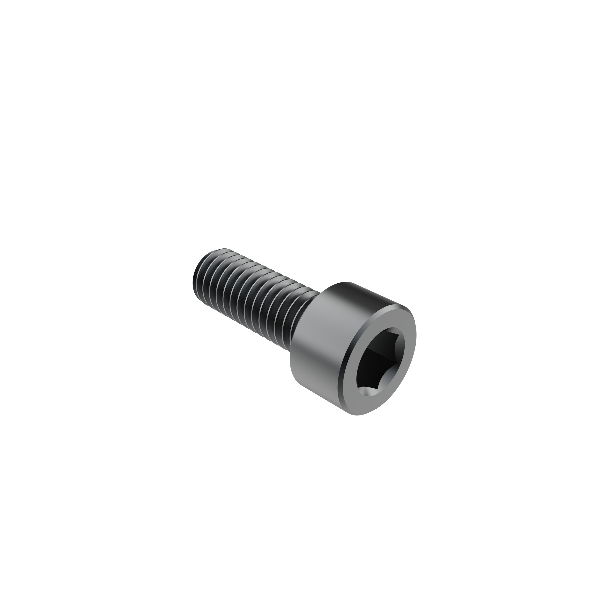 M6 x 16mm Socket Head Screw
