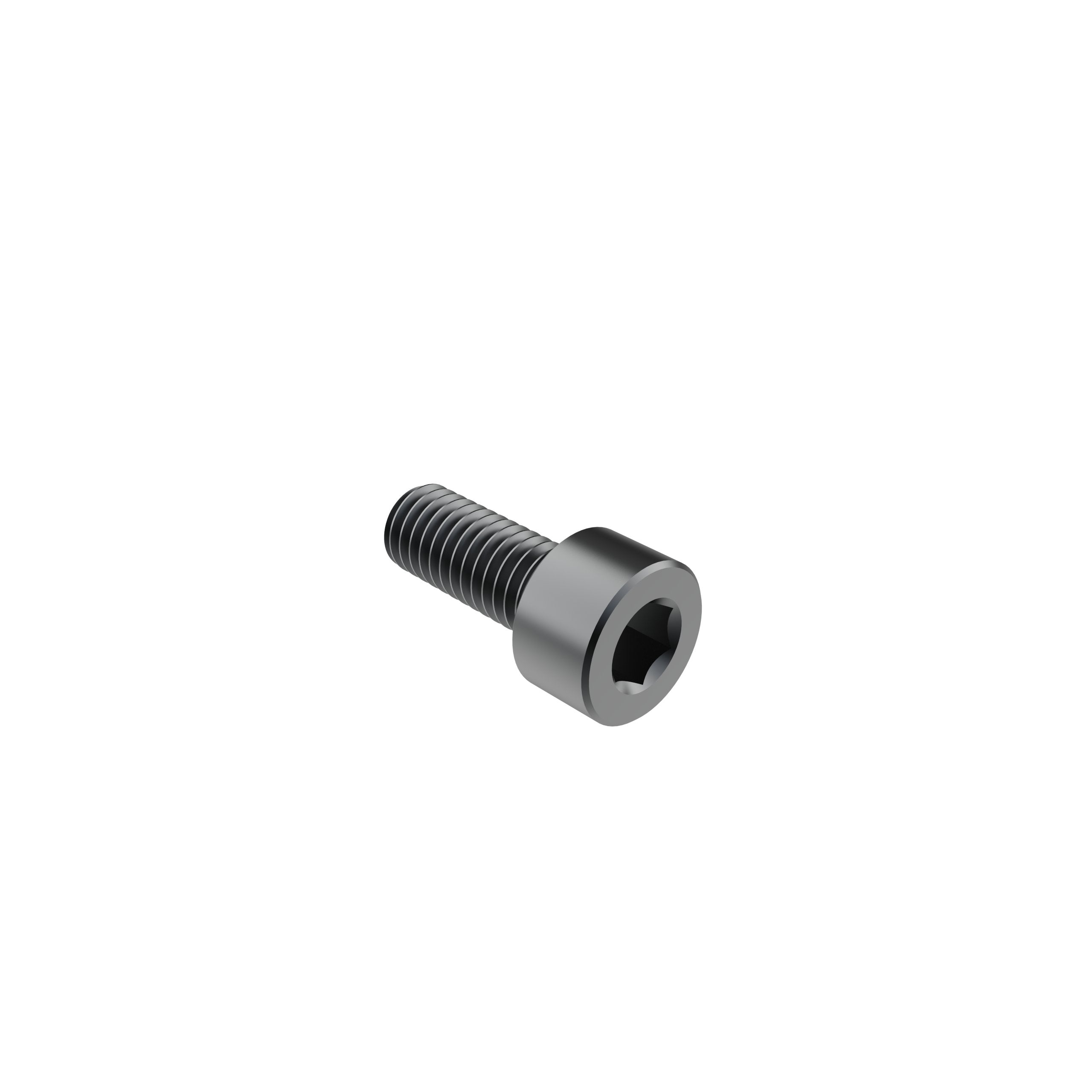 M5 x 12mm Socket Head Screw