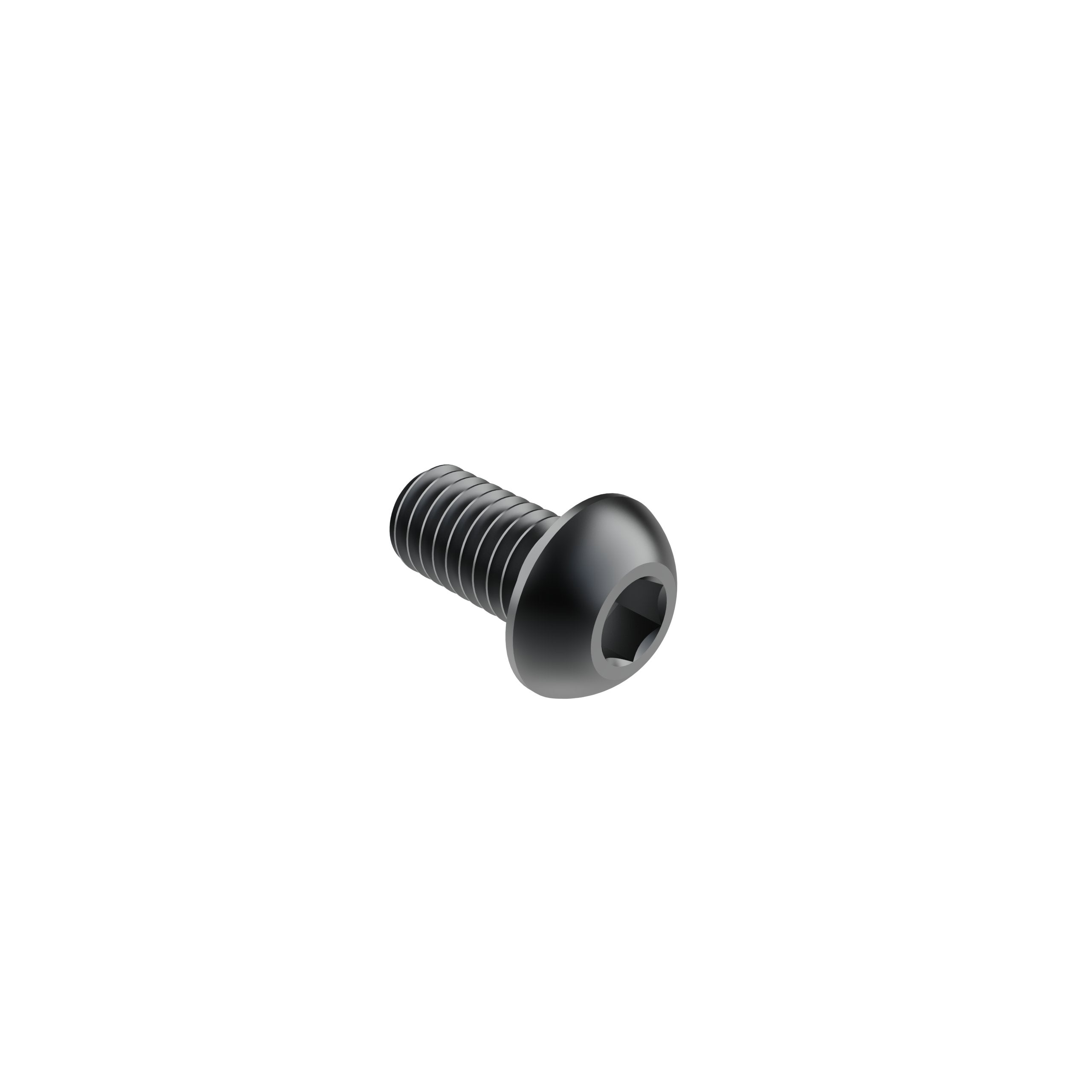 M6 x 12mm Button Head Screw