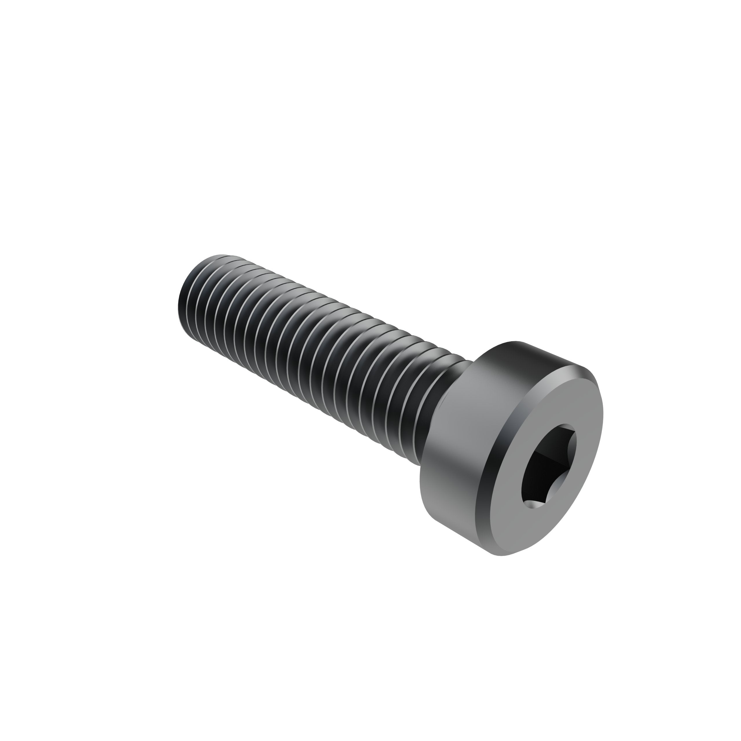 M8 x 30mm Low Head Screw