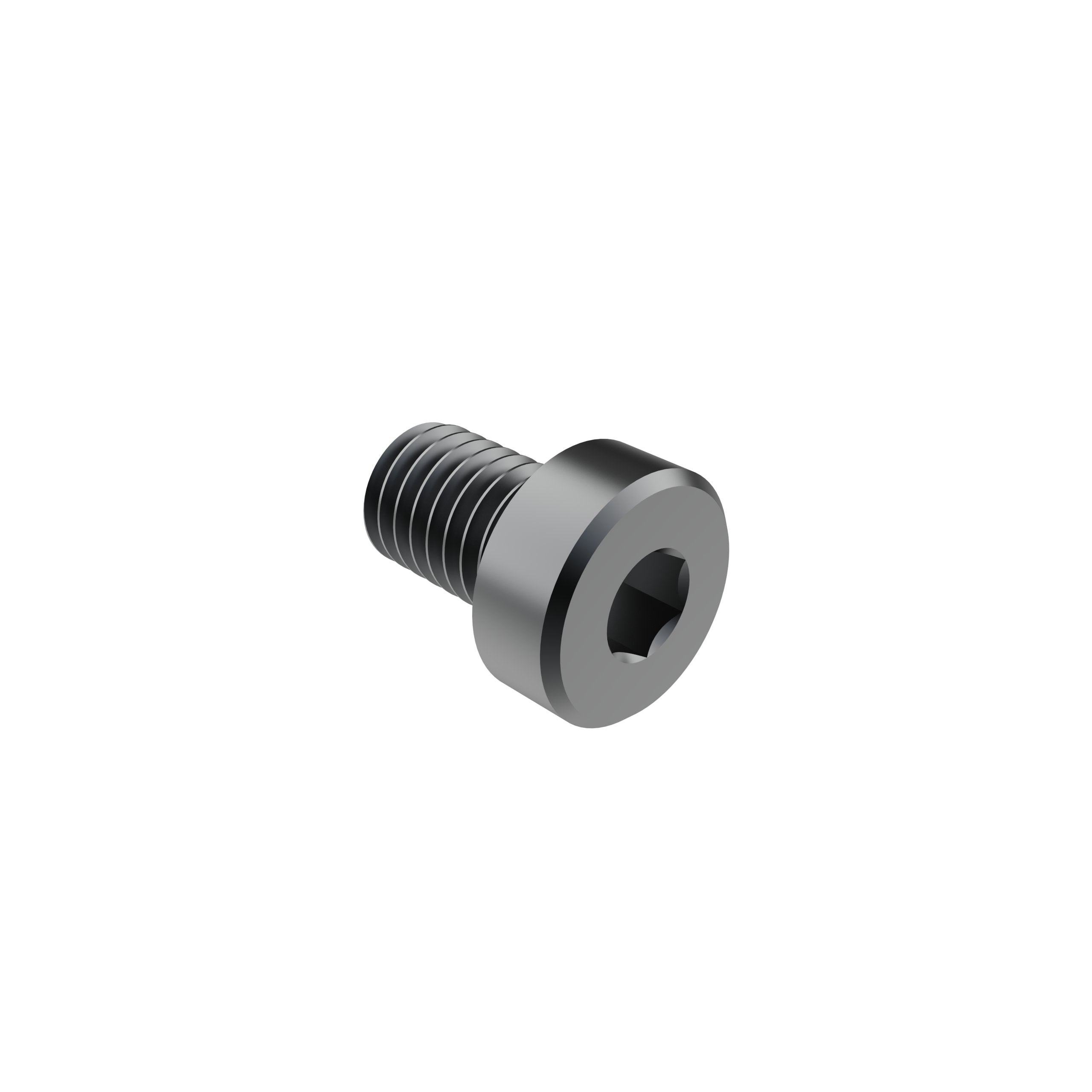 M8 x 12mm Low Head Screw