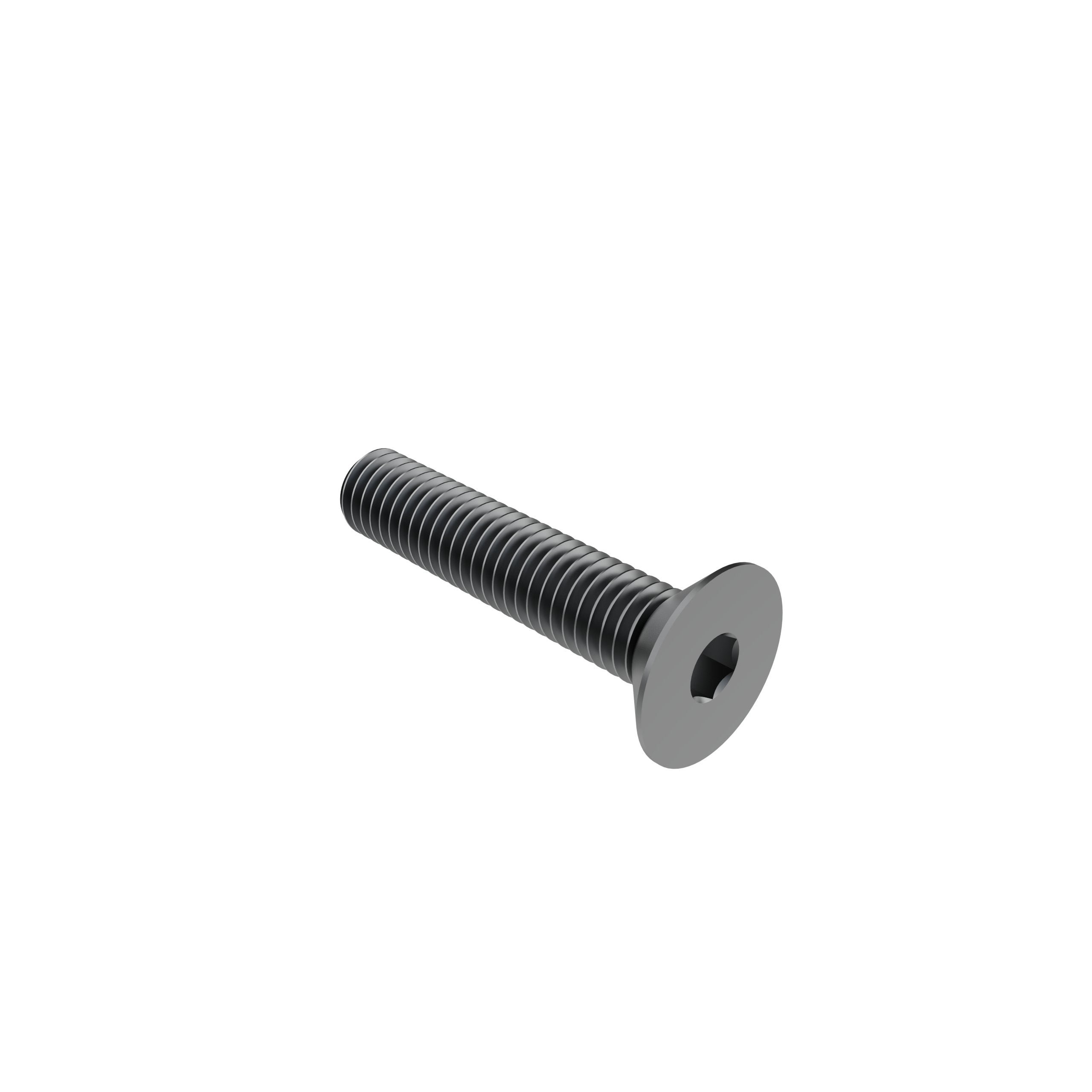 M5 x 25mm Flat Head Screw