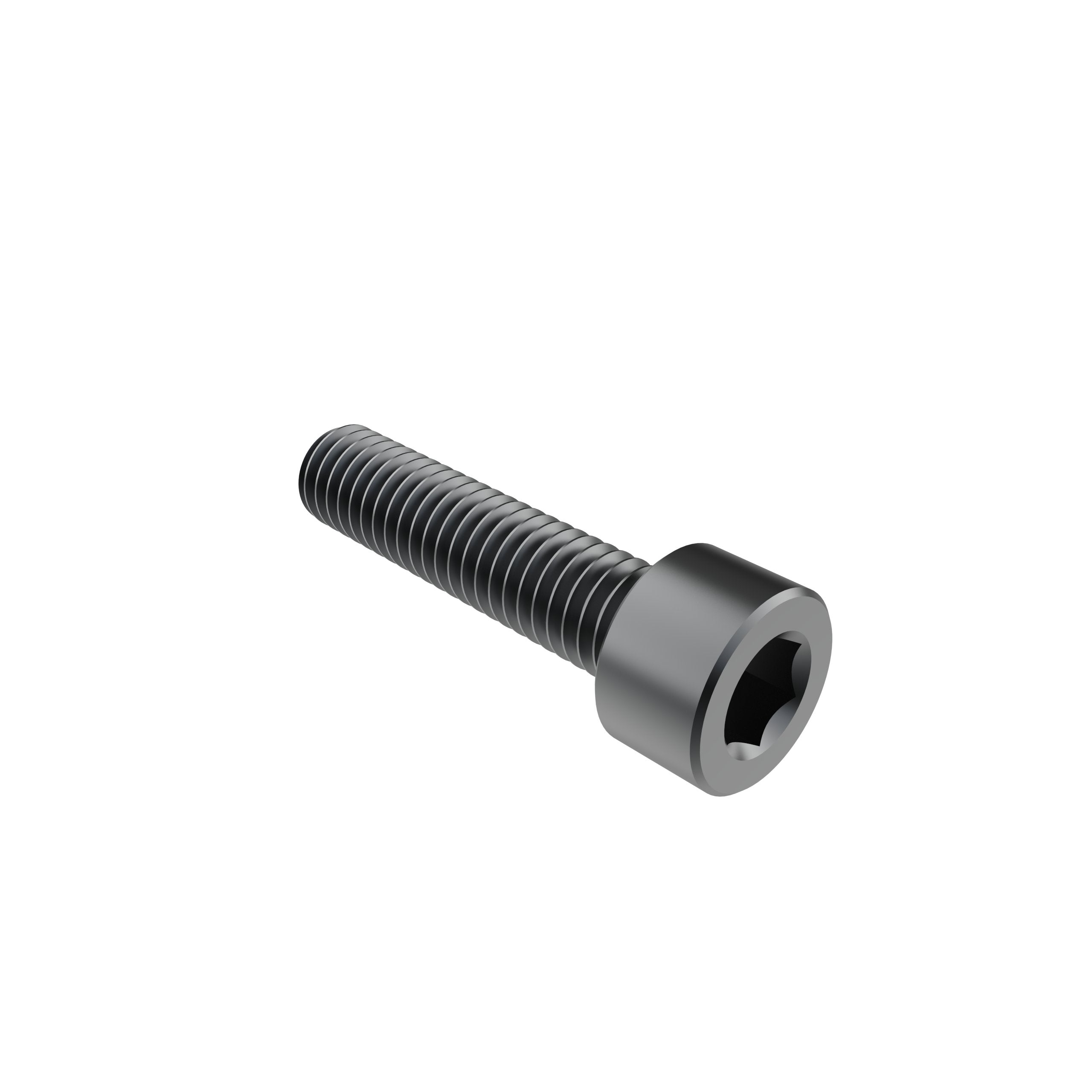 M6 x 25mm Socket Head Screw