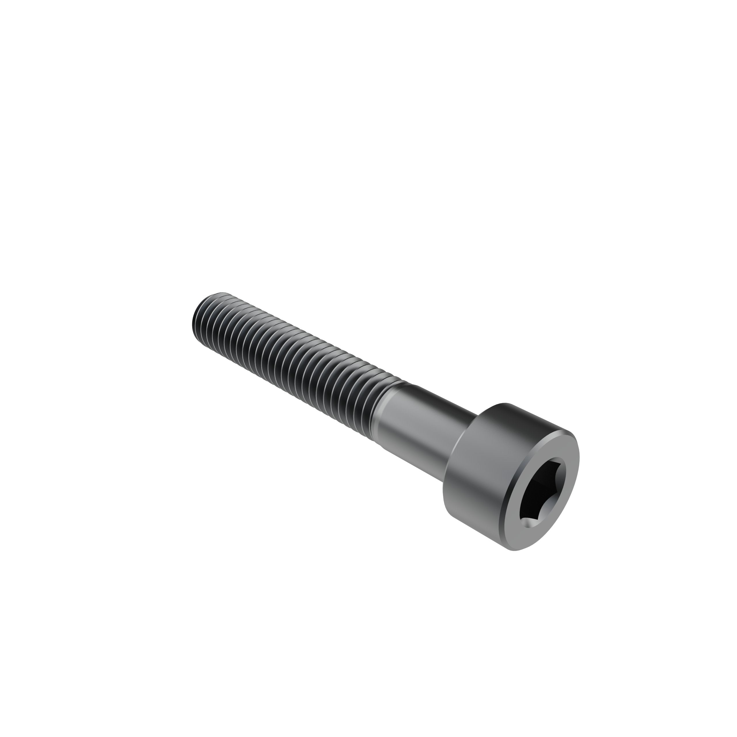 M5 x 30mm Socket Head Screw